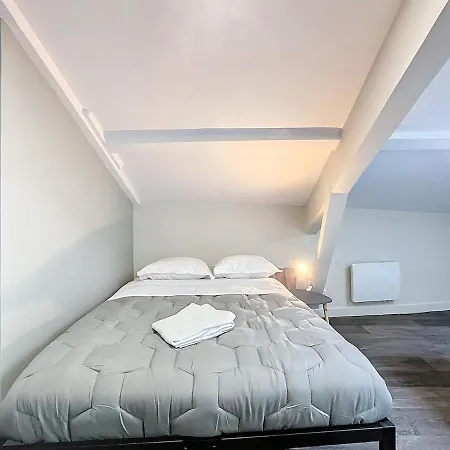 アパート - Immeuble 20 Couchages Et 10 Lits リオン